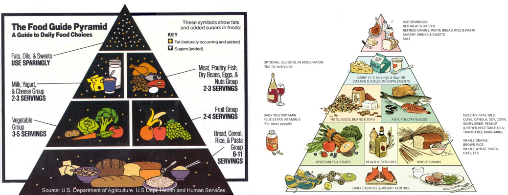 Food pyramids - 1992 vs 2005